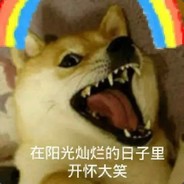 我只是一只猫