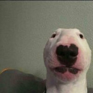 Rev7en.SKINS