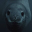 selkie