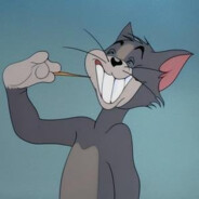 玉树临风的萌新