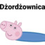 Dżordzownica