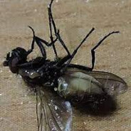 Лёха 2007 стрелок