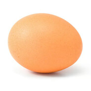 egg