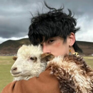 爱说谎的长鼻子