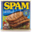 spam