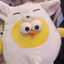 CHICKEN POLLO IRL