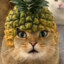 Pineapple Cat King