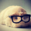 Hipster Hamster