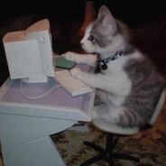 Собака-поводырь