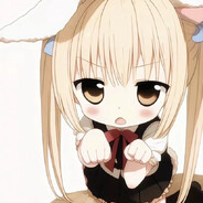 聪明的西伯利亚大狗熊大战澳大利亚博尔特