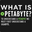 PETABYTE