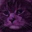 SMY
