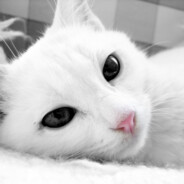 Xpymka - steam id 76561198956012613