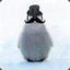 Mr.Penguino
