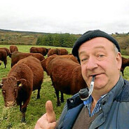 MasterTempo - steam id 76561198296090449