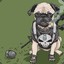 Battle-Pug