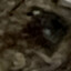 lextime avatar
