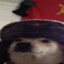 Xwyzvit
