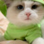 小刘bb