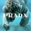 plasa