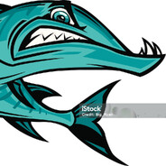 Barracuda