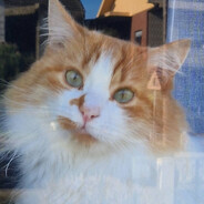 Camira