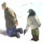pigeon