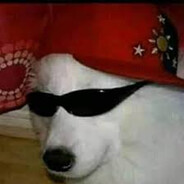 EL TERROR DE LAS BANDIDAS