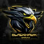 BlackHawk