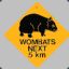 COMBAT WombaT