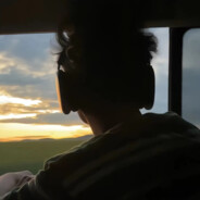 花开的时候来见你