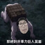 中山少年