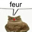 feur