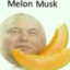 Melon Musk