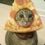 ThePizzaCat