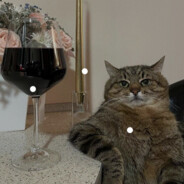 hot cat