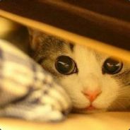 坚持一下，还能抢救