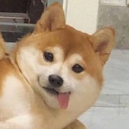 狗型人型转换中