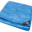 Blue Tarp