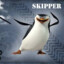 Skipper