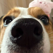 是饭吗就端上来