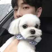 想填韩红大印春