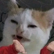 WoKe4
