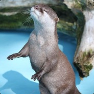 LazyOtter
