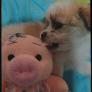 𝒥𝒶𝒽𝒶𝓎𝓇𝒶:)