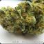 weeD