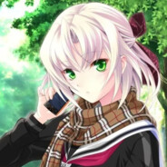 嘉神川ノエルです