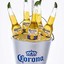 }{CORONA VIRUS }{