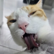 배고파서모르는초딩아이스크림뺏어먹고튄말콤