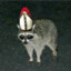 The Holy Trash panda